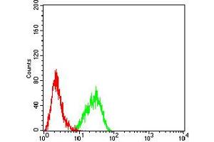 Flow cytometric analysis of HL-60 cells using CD122 mouse mAb (green) and negative control (red).