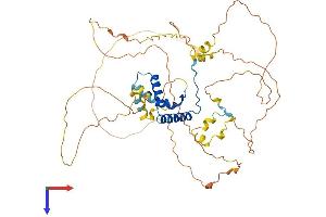 AlphaFold protein structure predicition of Mouse Recombinant Sox9 Protein, UniprotID Q04887