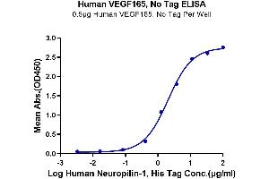 Immobilized Human VEGF165, No Tag at 5 μg/mL (100 μL/well) on the plate.