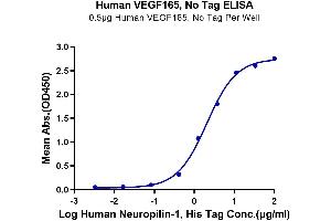 Immobilized Human VEGF165, No Tag at 5 μg/mL (100 μL/well) on the plate. (VEGF 165 Protéine)