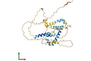 AlphaFold protein structure predicition of Human Recombinant BCL2L12 Protein, UniprotID Q9HB09