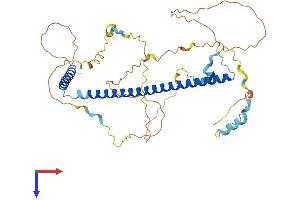 AlphaFold protein structure predicition of Mouse Recombinant Ska3 Protein, UniprotID Q8C263