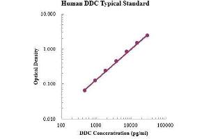 Dopa Decarboxylase (Aromatic L-Amino Acid Decarboxylase) (DDC) ELISA Kit