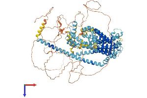 AlphaFold protein structure predicition of Human Recombinant TMC5 Protein, UniprotID Q6UXY8