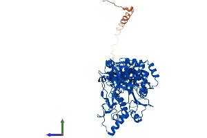 AlphaFold protein structure predicition of Mouse Recombinant Galnt12 Protein, UniprotID Q8BGT9