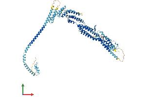AlphaFold protein structure predicition of Mouse Recombinant Cog2 Protein, UniprotID Q921L5