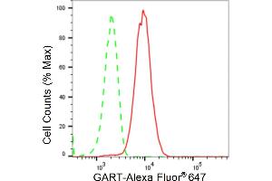 Flow cytometric analysis of GART expression in HT- cells using GART antibody (ABIN7799834), 1:2,000). (Recombinant GART anticorps)