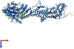 AlphaFold protein structure predicition of Human Recombinant CYFIP1 Protein, UniprotID Q7L576