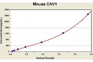 Diagramm of the ELISA kit to detect Mouse CAV1with the optical density on the x-axis and the concentration on the y-axis. (Caveolin-1 Kit ELISA)