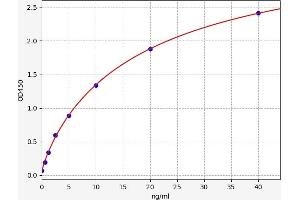 Typical standard curve (MYL3/CMLC1 Kit ELISA)