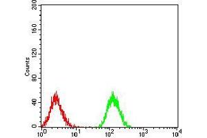Flow cytometric analysis of Jurkat cells using PLCG1 mouse mAb (green) and negative control (red).