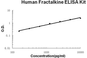 Human Fractalkine/CX3CL1 Accusignal ELISA Kit Human Fractalkine/CX3CL1 AccuSignal ELISA Kit standard curve. (CX3CL1 Kit ELISA)