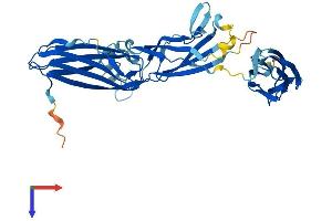 AlphaFold protein structure predicition of Mouse Recombinant Trappc13 Protein, UniprotID Q3TIR1