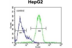 Image no. 1 for anti-Nanog Homeobox (NANOG) (AA 25-54), (N-Term) antibody (ABIN357014) (Nanog anticorps  (N-Term))