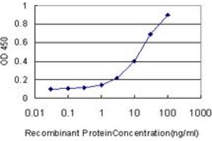 Detection limit for recombinant GST tagged HSPC111 is approximately 1ng/ml as a capture antibody. (NOP16 anticorps  (AA 1-178))