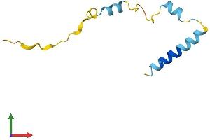 AlphaFold protein structure predicition of Human Recombinant NUPR1 Protein, UniprotID O60356