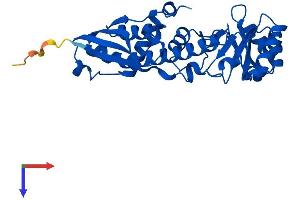 AlphaFold protein structure predicition of Human Recombinant QPRT Protein, UniprotID Q15274