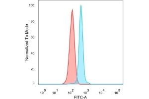 Flow cytometric analysis of PFA-fixed HeLa cells. (HDAC6 anticorps)