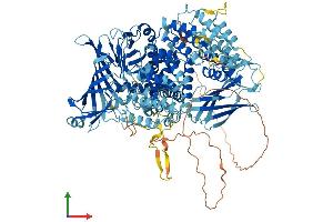AlphaFold protein structure predicition of Mouse Recombinant Taf2 Protein, UniprotID Q8C176