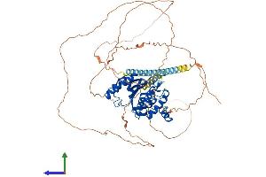 AlphaFold protein structure predicition of Human Recombinant SENP1 Protein, UniprotID Q9P0U3