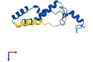 AlphaFold protein structure predicition of Human Recombinant MRPS14 Protein, UniprotID O60783