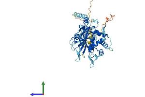 AlphaFold protein structure predicition of Human Recombinant USP14 Protein, UniprotID P54578
