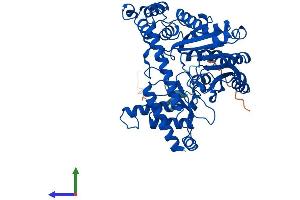 AlphaFold protein structure predicition of Mouse Recombinant Gpt2 Protein, UniprotID Q8BGT5