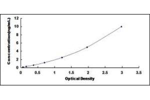 Typical standard curve (HSD11B1L Kit ELISA)