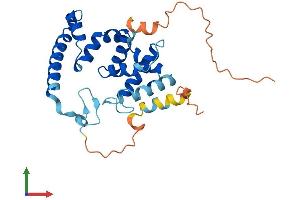 AlphaFold protein structure predicition of Human Recombinant TBC1D26 Protein, UniprotID Q86UD7
