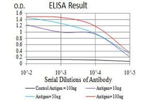 Black line: Control Antigen (100 ng), Purple line: Antigen(10 ng), Blue line: Antigen (50 ng), Red line: Antigen (100 ng),