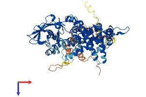 Acyl-CoA Oxidase-Like (ACOXL) (AA 1-632) protein (His tag)