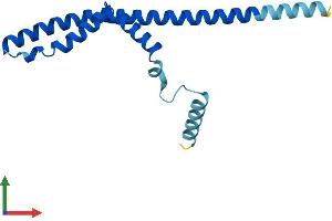 AlphaFold protein structure predicition of Mouse Recombinant Plgrkt Protein, UniprotID Q9D3P8