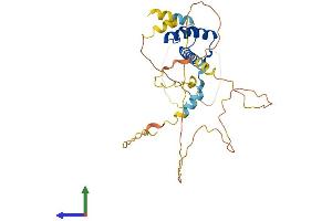AlphaFold protein structure predicition of Human Recombinant PITX2 Protein, UniprotID Q99697