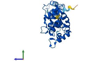 AlphaFold protein structure predicition of Mouse Recombinant Dcun1d1 Protein, UniprotID Q9QZ73