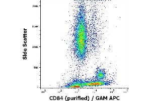Flow cytometry surface staining pattern of human peripheral whole blood stained using anti-human CD84 (84.