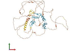 AlphaFold protein structure predicition of Human Recombinant ZNF683 Protein, UniprotID Q8IZ20
