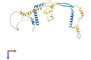 AlphaFold protein structure predicition of Human Recombinant C10orf120 Protein, UniprotID Q5SQS8