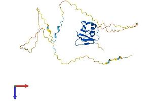 AlphaFold protein structure predicition of Human Recombinant UBXN10 Protein, UniprotID Q96LJ8