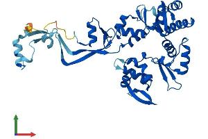 AlphaFold protein structure predicition of Mouse Recombinant DSCC1 Protein, UniprotID Q14AI0