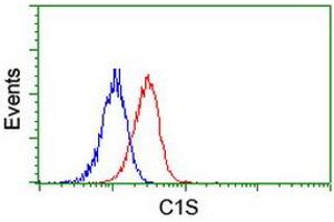 Image no. 2 for anti-Complement Component 1, S Subcomponent (C1S) antibody (ABIN1497568) (C1S anticorps)