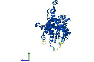 AlphaFold protein structure predicition of Mouse Recombinant Dhps Protein, UniprotID Q3TXU5
