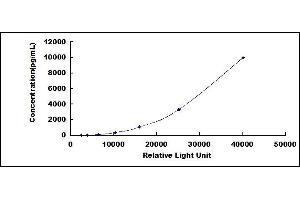 Typical standard curve