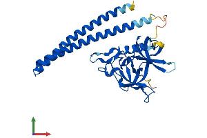 AlphaFold protein structure predicition of Mouse Recombinant Sgf29 Protein, UniprotID Q9DA08