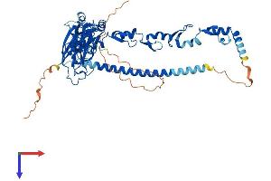AlphaFold protein structure predicition of Mouse Recombinant Traf6 Protein, UniprotID P70196