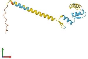 AlphaFold protein structure predicition of Human Recombinant ZNF818P Protein, UniprotID Q6ZRF7