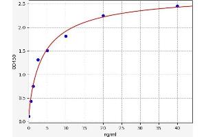 Typical standard curve (EGFR2 Kit ELISA)