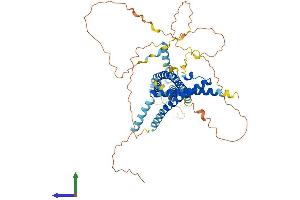 AlphaFold protein structure predicition of Human Recombinant MARVELD2 Protein, UniprotID Q8N4S9