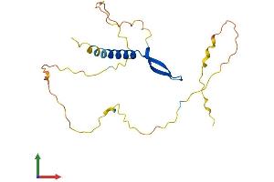 AlphaFold protein structure predicition of Human Recombinant BCL7B Protein, UniprotID Q9BQE9