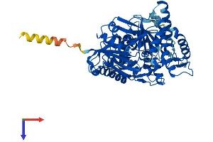 AlphaFold protein structure predicition of Mouse Recombinant Gk5 Protein, UniprotID Q8BX05