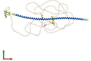 AlphaFold protein structure predicition of Human Recombinant BEGAIN Protein, UniprotID Q9BUH8